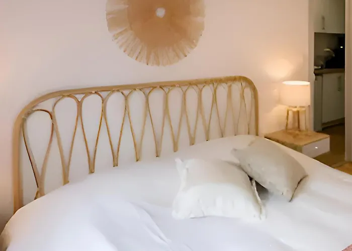 Apartment Le Cosy Magnifique T2 Neuf Centre Gare 800 M *